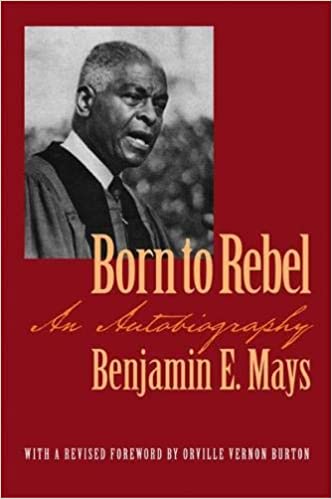 Born to Rebel Cover