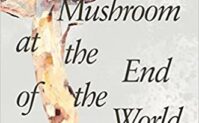 The Mushroom at the End of the World: On the Possibility of Life in Capitalist Ruins Cover