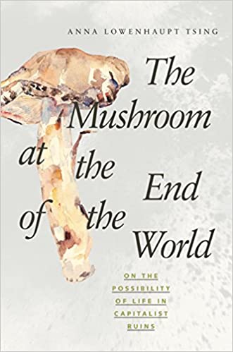 The Mushroom at the End of the World: On the Possibility of Life in Capitalist Ruins Cover