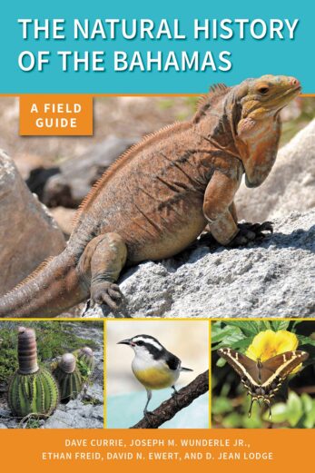 The Natural History of the Bahamas: A Field Guide Cover