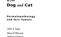 Color Atlas and Text of Surgical Pathology of the Dog and Cat Cover