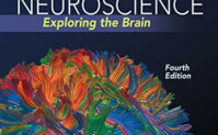 Neuroscience- Exploring the Brain Cover
