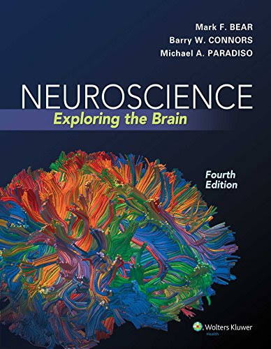 Neuroscience- Exploring the Brain Cover