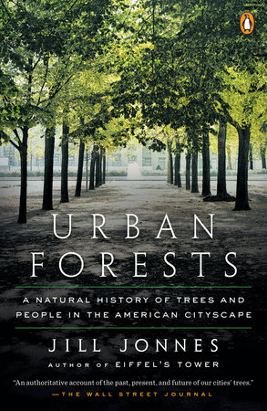 Urban Forests Cover