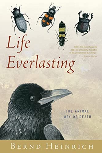 Life Everlasting Cover