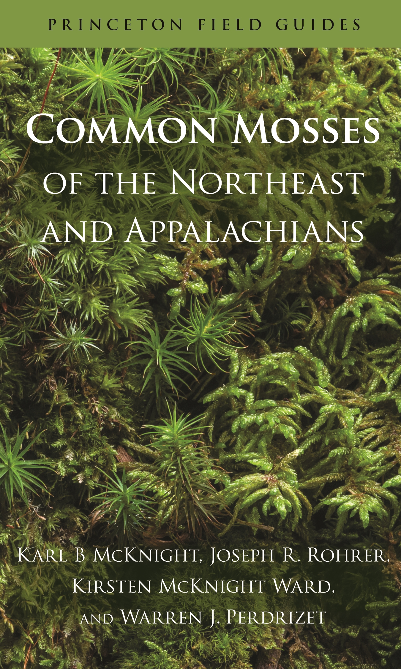 Common Mosses of the Northeast and Appalachians Cover