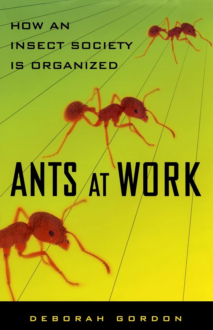 Ants at Work: How an Insect Society is Organized