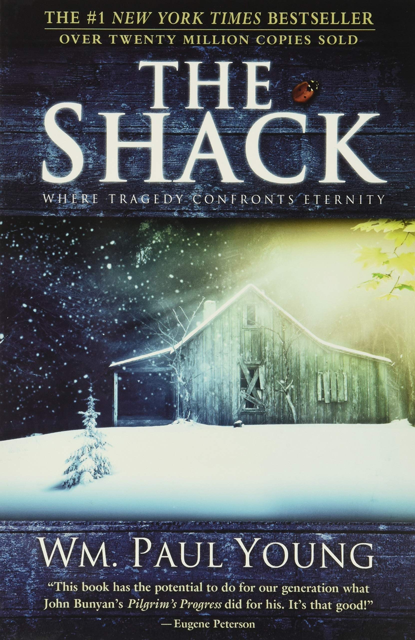 The Shack: Where Tragedy Confronts Eternity