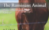 The Ruminant Animal: Digestive Physiology and Nutrition