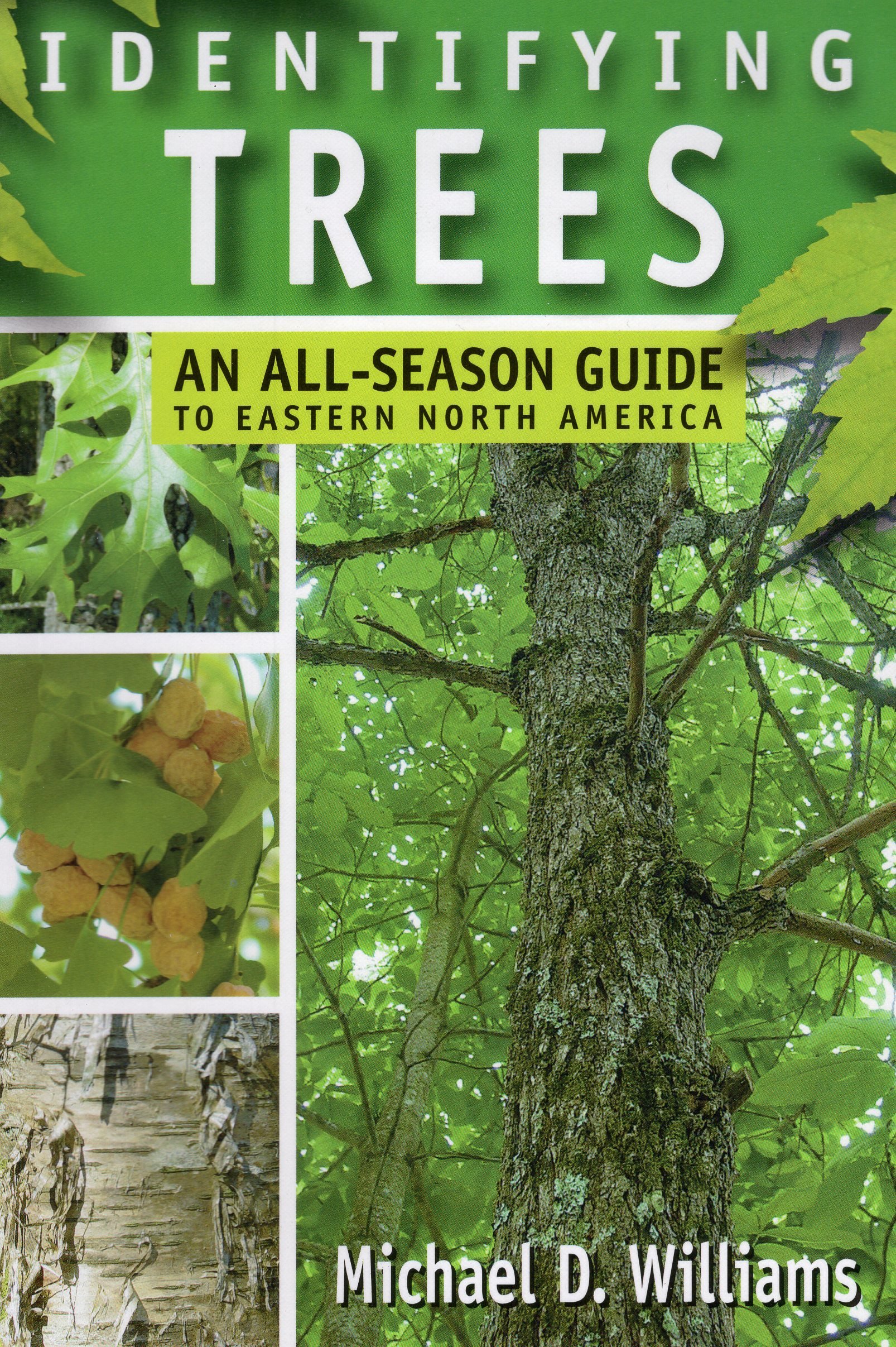 Identifying Trees: An All-Season Guide to Eastern North America