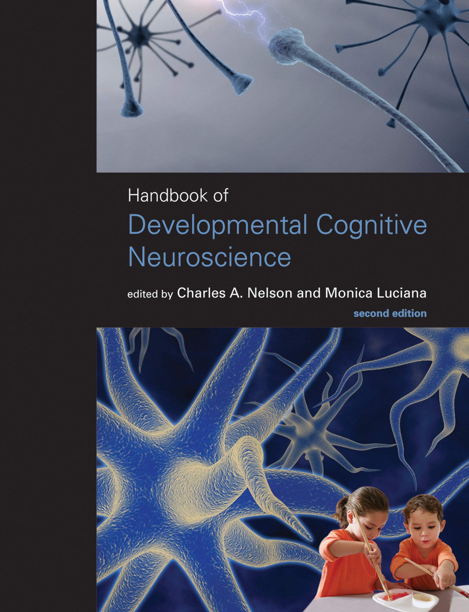 Handbook of Developmental Cognitive Neuroscience