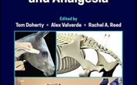 Manual of Equine Anesthesia and Analgesia