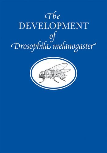 The Development of Drosophila Melanogaster