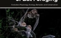 A Natural History of Bat Foraging: Evolution, Physiology, Ecology, Behavior, and Conservation